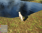 Walk in the Park screenshot 2